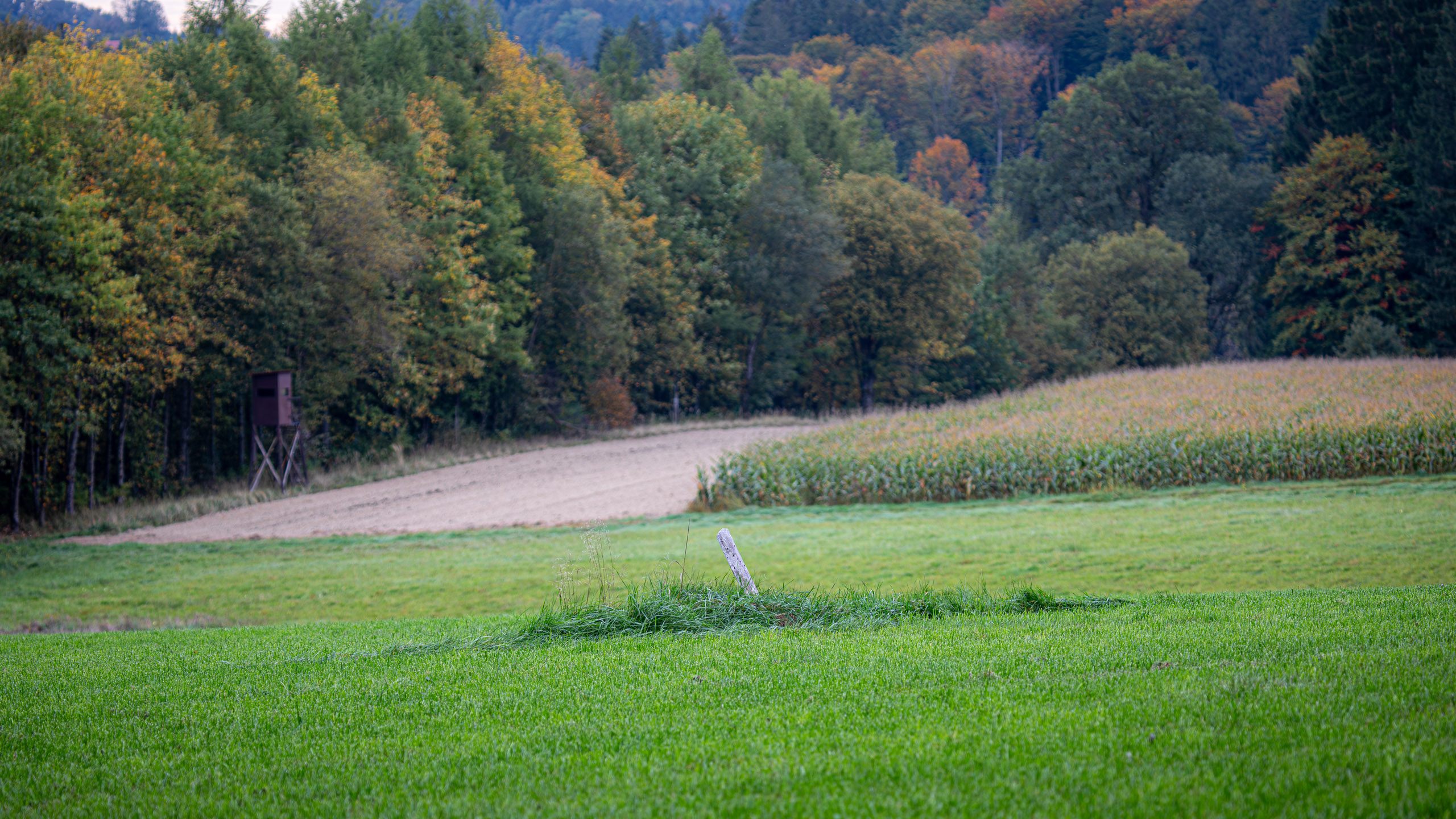 20231014101844 RD4 4666 e